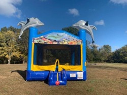 Dolphin Bounce House