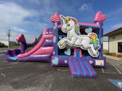 5B19268D 3B1F 4CF2 9468 0598D292E380 1632845839 Enchanted Unicorn Dreams Combo
